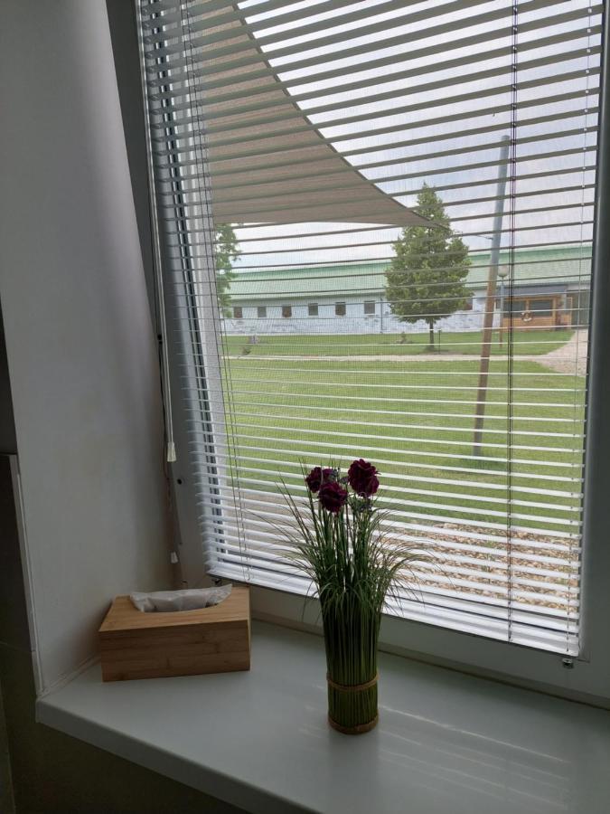 Hedervari Lovas Vendeghaz Bagian luar foto